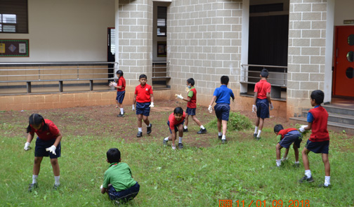 Swachhata Pakhwada Day